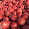 red huaniu apples red delicious apple China apple